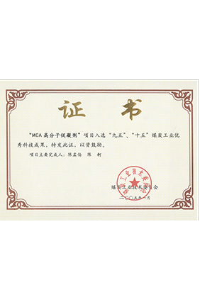 2005年1月MCA高分子促凝劑獲“九五、十五”科技成果獎